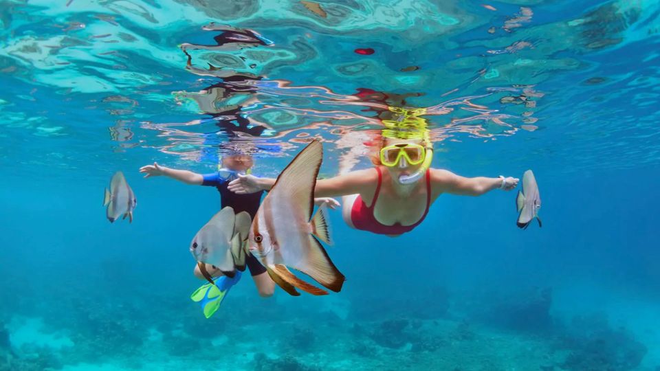 Bali: Snorkeling on 2 Spots With Lunch and Transport - Activity Details