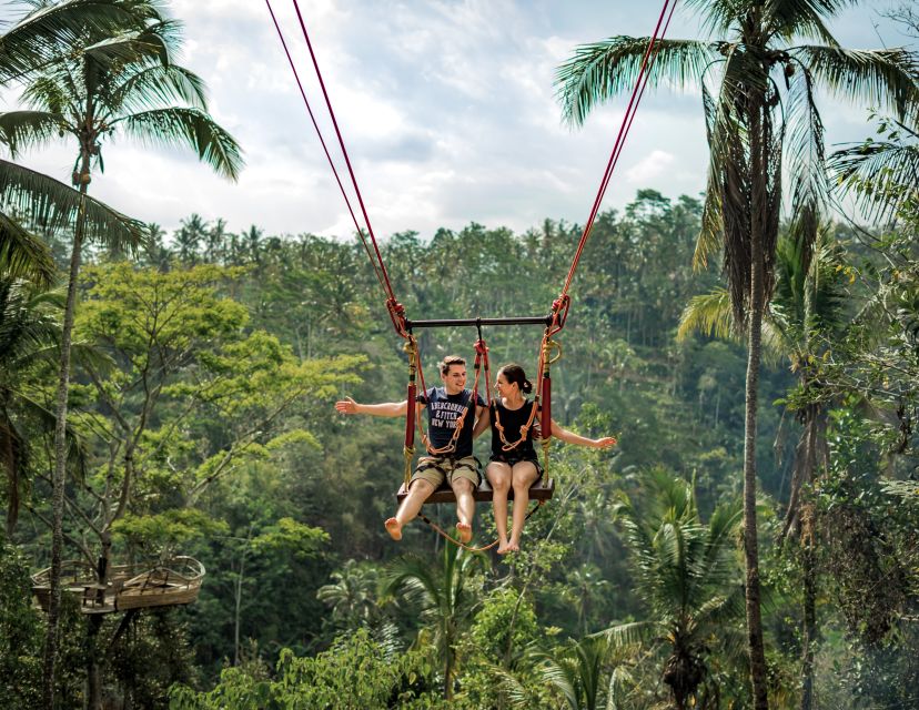 Bali: Swing With Falls, Rice Terrace, & Monkey Forest Option