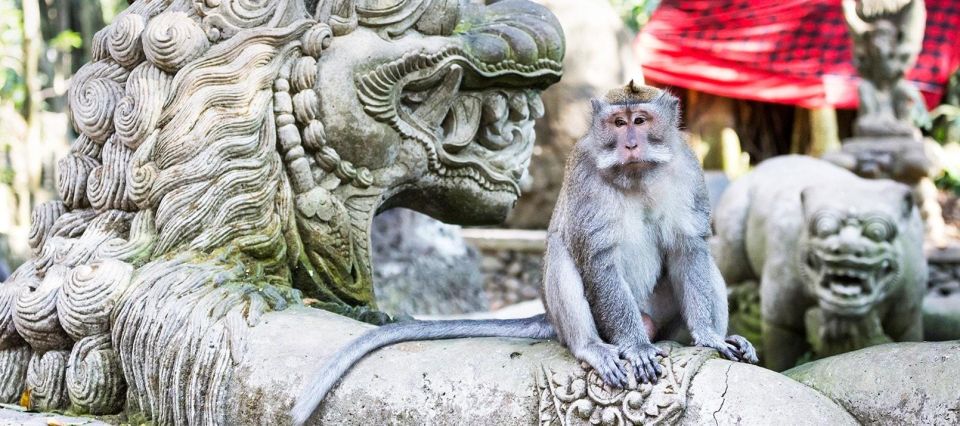 Bali: Ubud Monkey Forest, Rice Terraces, Temple, & Waterfall