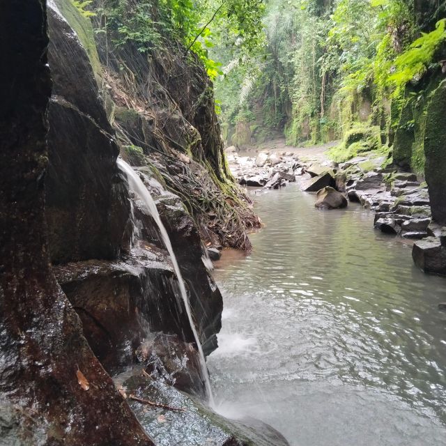 Bali: Ubud Short Trip Waterfall & Rice Terraces Walk