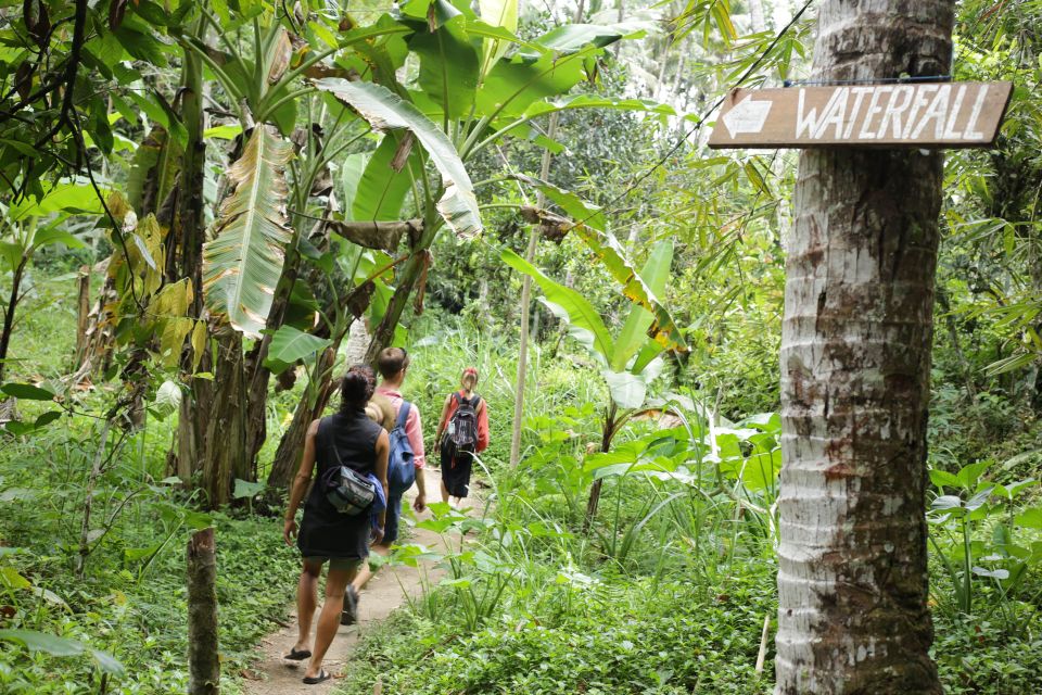 Bali Waterfalls Quest, Discover 4 Waterfalls in 1 Day