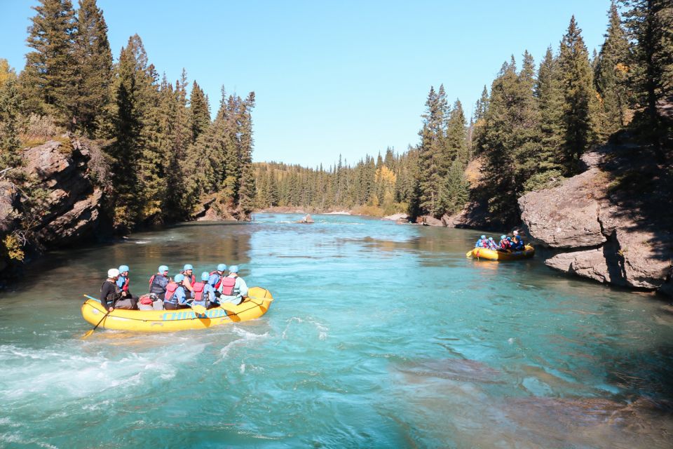 Banff: Afternoon Kananaskis River Whitewater Rafting Tour - Overview of the Whitewater Rafting Tour