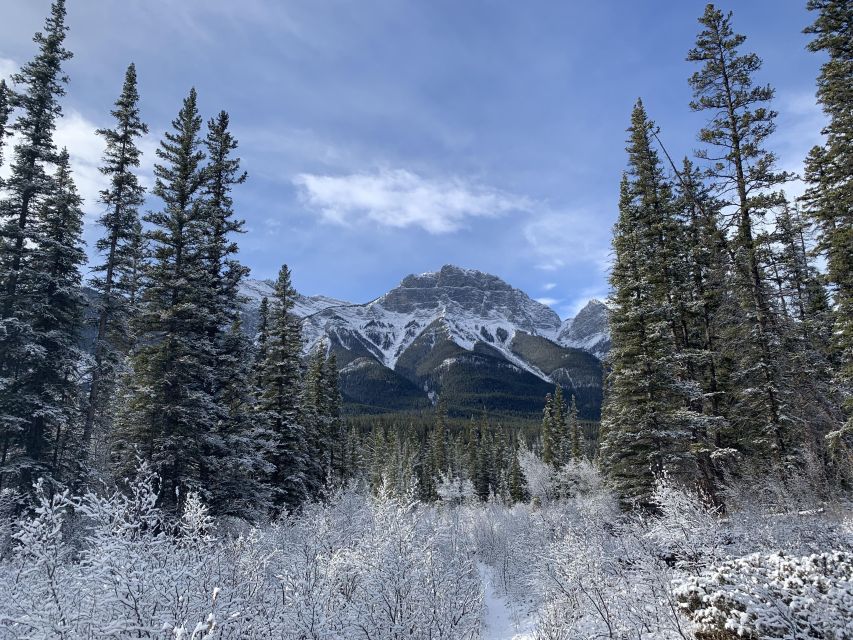 Banff: Local Legends and Landmarks – History Tour 1.5hrs