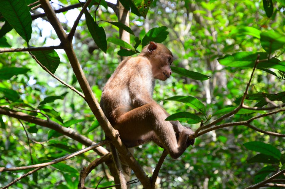 Bangkok: Kanchanaburi and Erawan Waterfall Private Tour