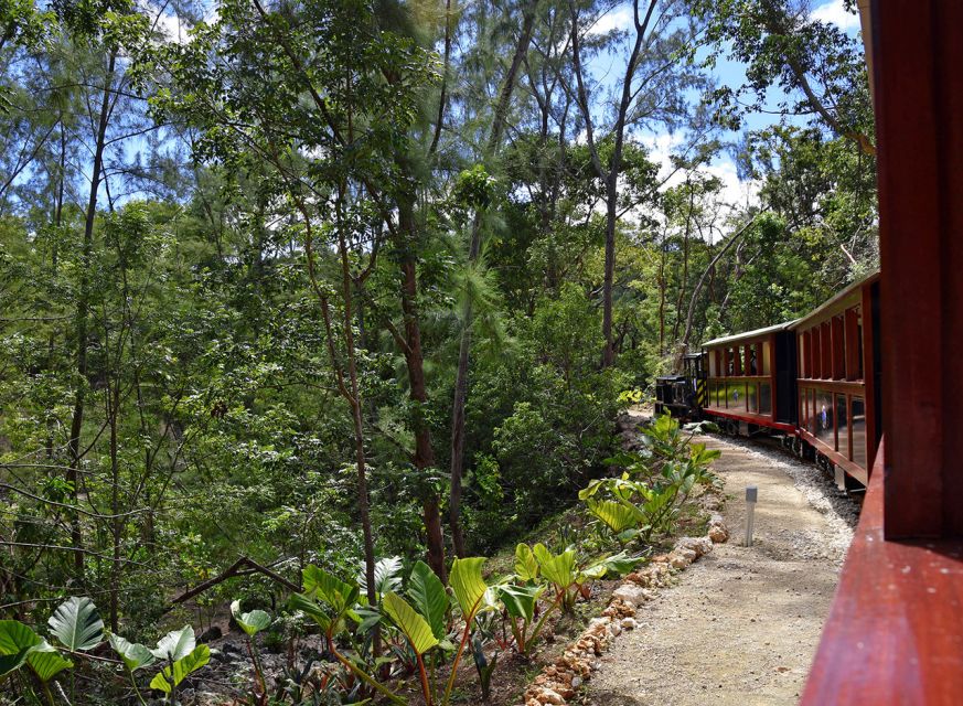 Barbados: 4-Hour Private Customized Island Tour