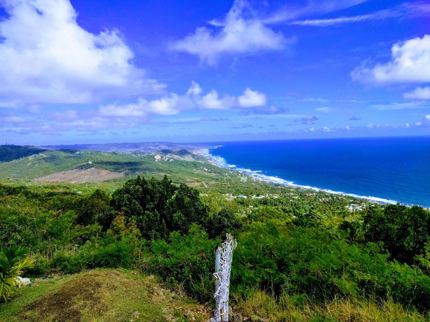 Barbados: Rural Tracks and Trails Guided E-Bike Tour