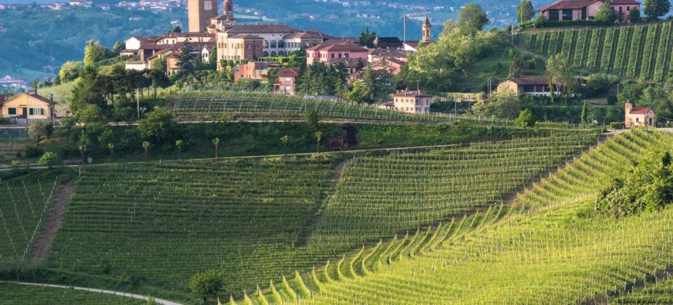 Barbaresco: E-Bike Tour of Piedmont Wineries With Tastings - Highlights of the Tour