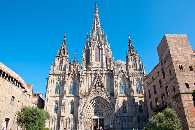 Barcelona Highlights Guided Tour & Optional Paella Experience