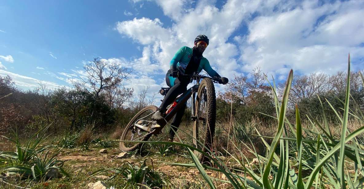 Bari: Ebike Excursion to the Mercadante Forest