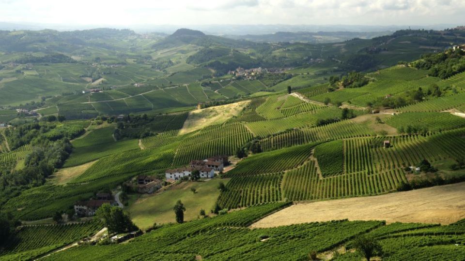 Barolo: Guided Scenic E-Bike Tour With Wine Tasting