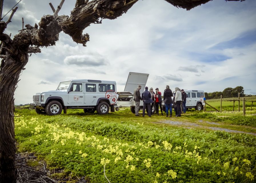 7 Best Wine Tours In Barossa Valley