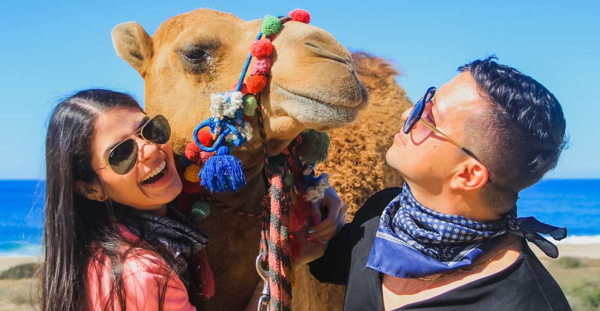 Beach Camel Ride & Encounter in Cabo by Cactus Tours Park