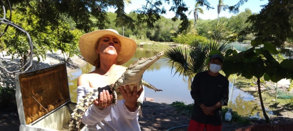 .Beach Horse Riding Turtle Release Crocodile Farm Experience