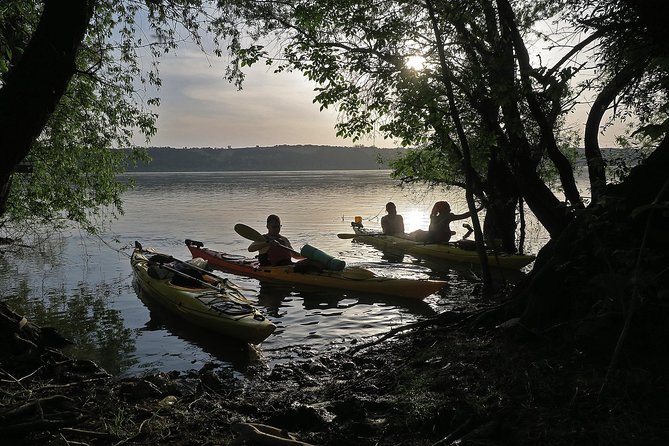 Belgrade War Island Kayak Tour