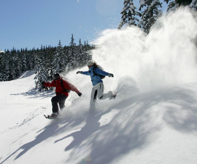 Bend: Half-Day Snowshoe Tour in the Cascade Mountain Range - Tour Details