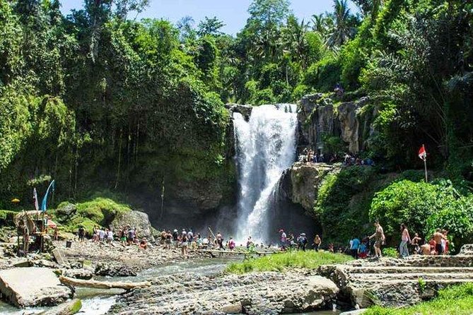 Best of Ubud Private Day Tour