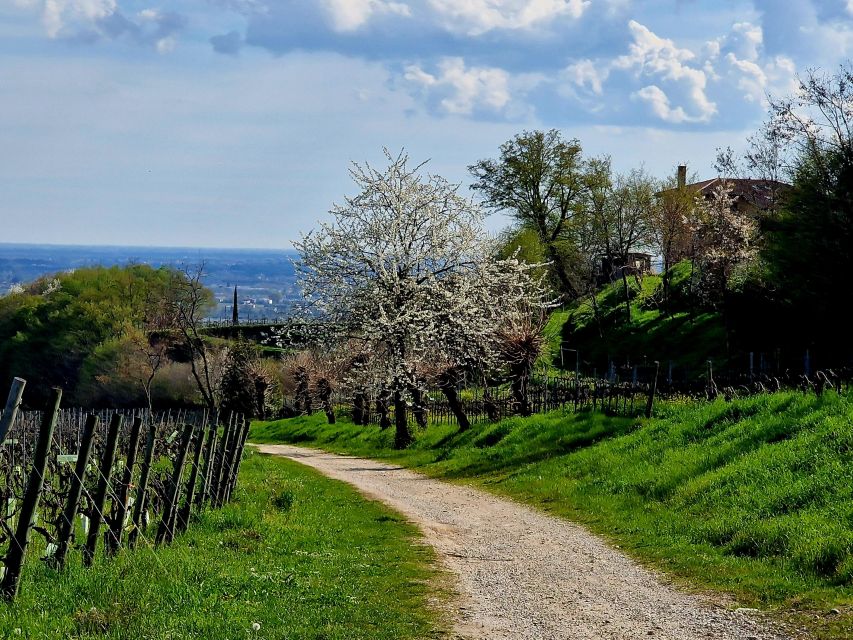 Bike and Coffee on Conegliano and Surrounding Hills