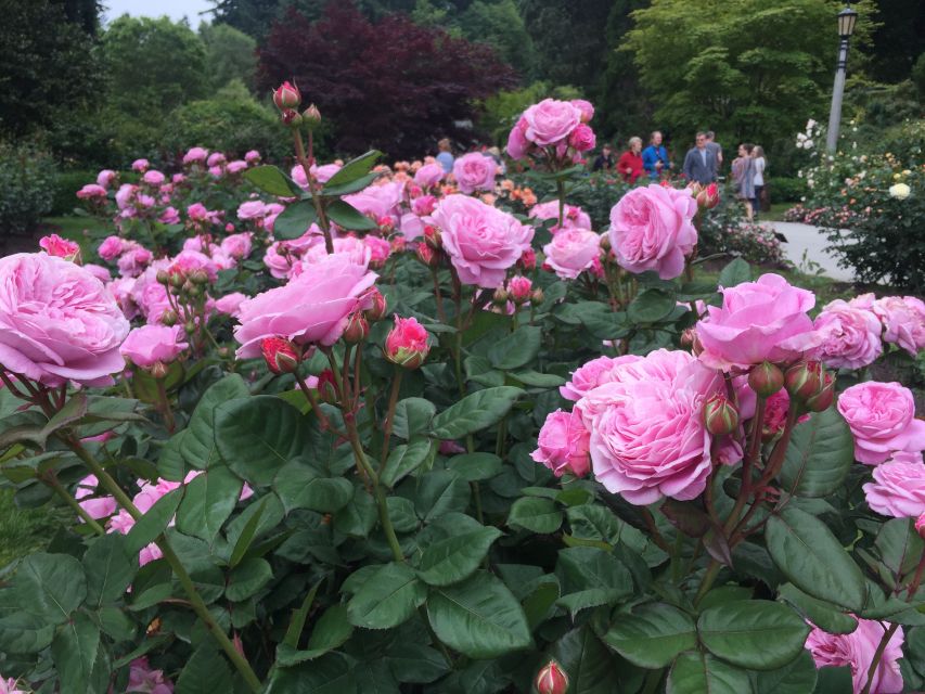 Bike Portland: Bridges, Neighborhoods, Poetry, and Roses