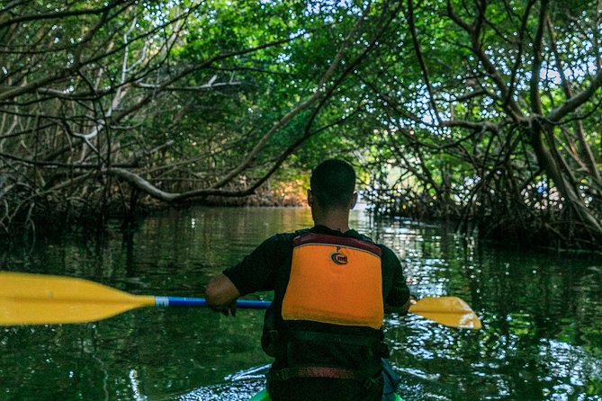 Bio Bay Night Kayaking | Laguna Grande, Fajardo