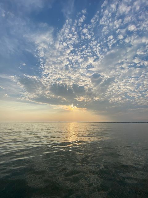 Birdwatching: in the Venetian Lagoon