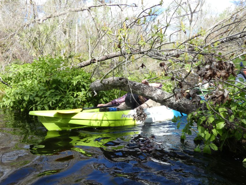 Blackwater Creek: Exclusive Nature Escape Kayak Adventure