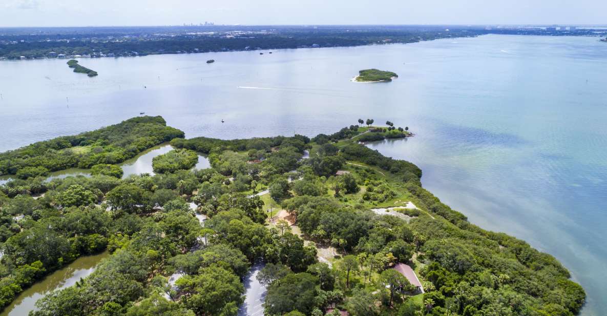 Boca Ciega Bay Island Kayak Tour