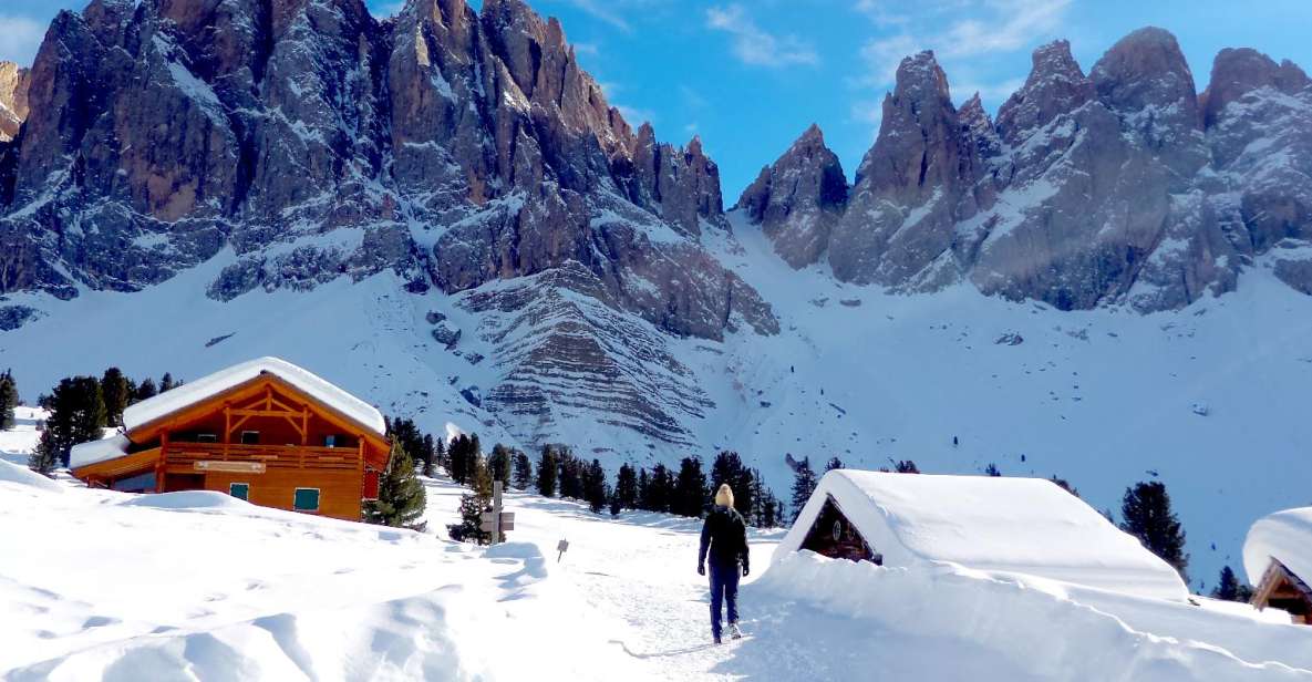 Bolzano Dolomites: Winter Hiking & Sledding Experience