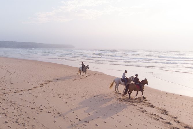 Bordeira Beach – Horse Riding Tour at Sunset