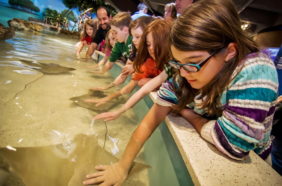 Boston: New England Aquarium Skip-the-Line Entry Ticket