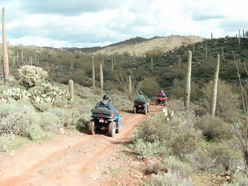 Box Canyon and Pinal Mountains Half-Day ATV Tour