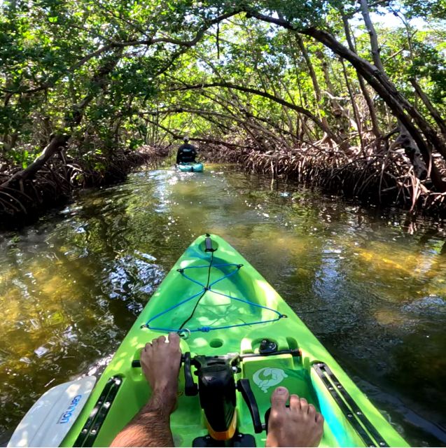 Bradenton: Guided Pedal Kayak Tour