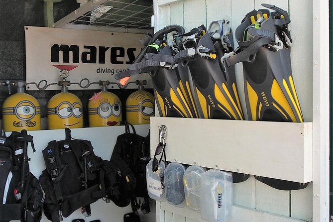BRELA Bikini Dive *Try SCUBA DIVING* - Overview of the Experience