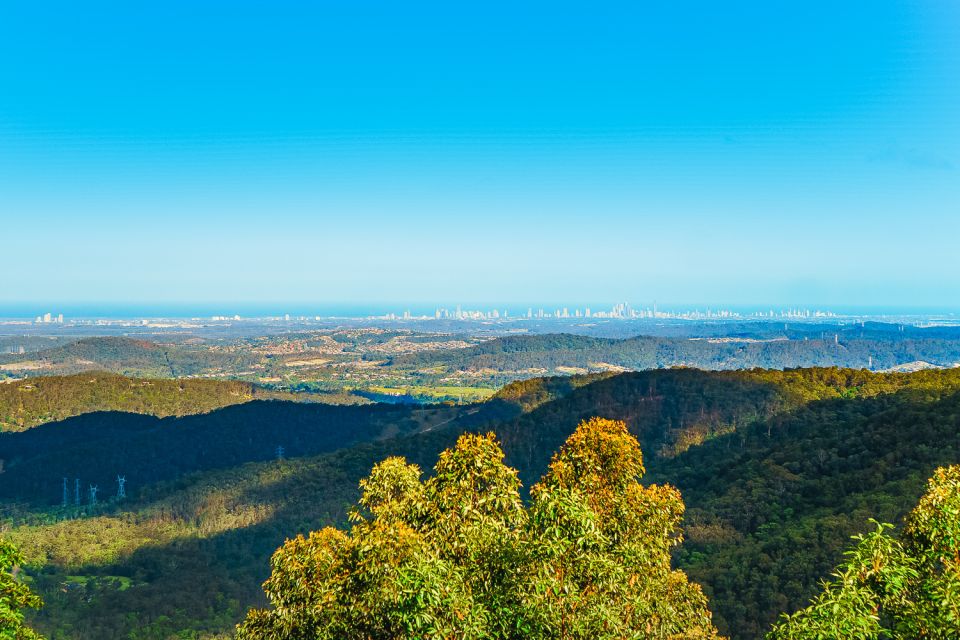 Brisbane: OReillys Tree Top Walk