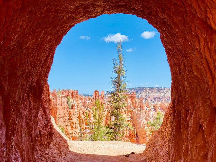 Bryce Canyon National Park: Guided Hike And Picnic