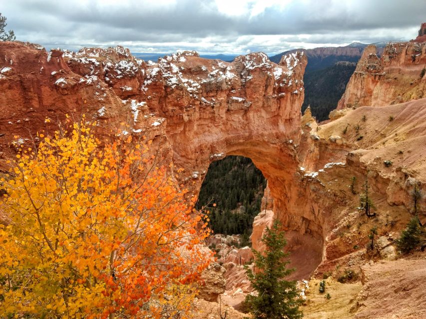 Bryce: Guided Sightseeing Tour of Bryce Canyon National Park - Tour Overview