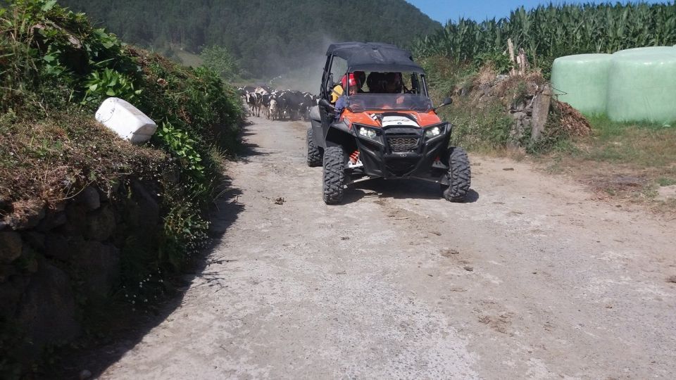 Buggy | Quad | Jeep Coast to Coast Tour (Ribeira Grande) off 4×4