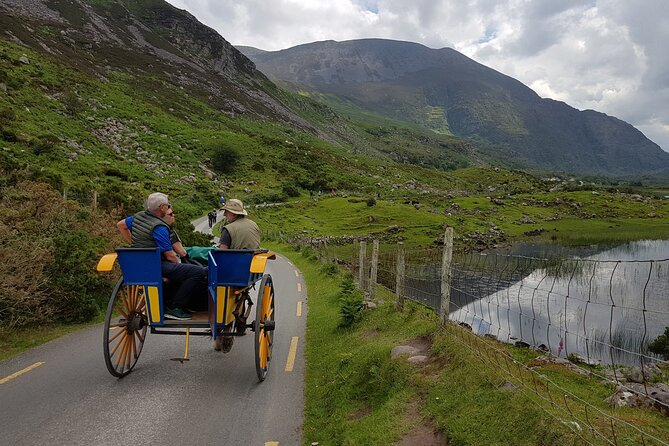 Bus, Boat & Jaunting Cart Tour (Jaunting Cart Paid Separately) - Tour Components