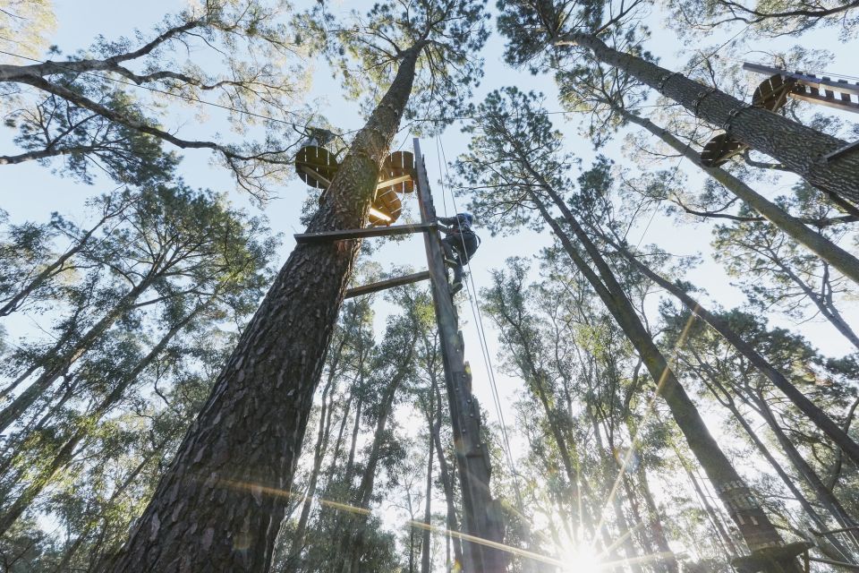 Busselton: Forest Adventure With Zip Lining and Rope Course