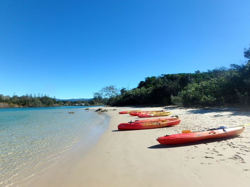 Byron Bay: Brunswick River Scenic Kayak Tour