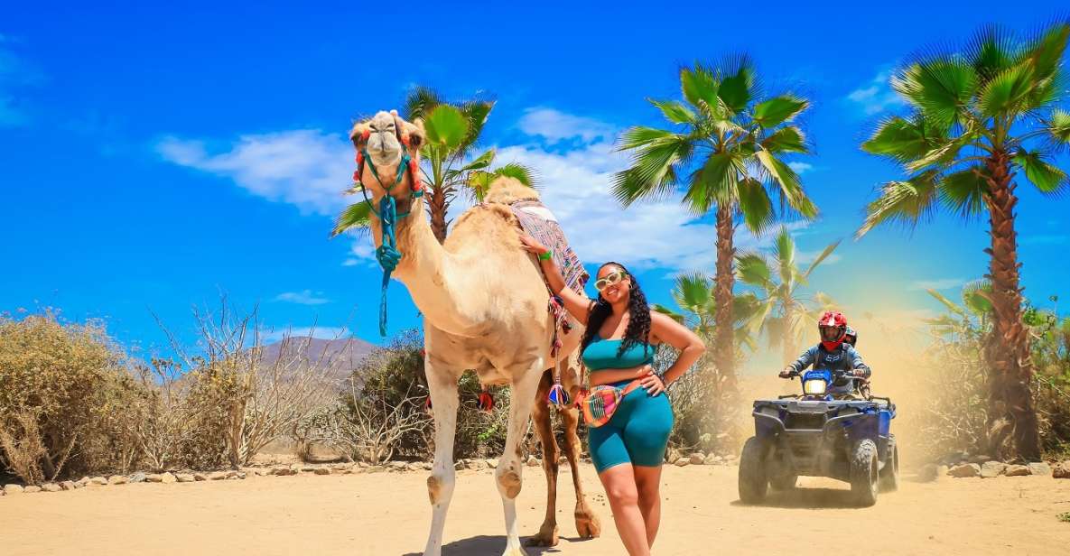 Cabo: ATV, Camel Ride, Mexican Lunch, and Tequila Combo Tour - Tour Details and Duration