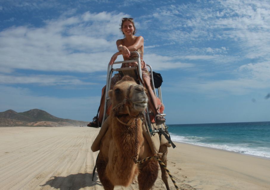 Cabo San Lucas: Amazing Camel Adventure on the Beach