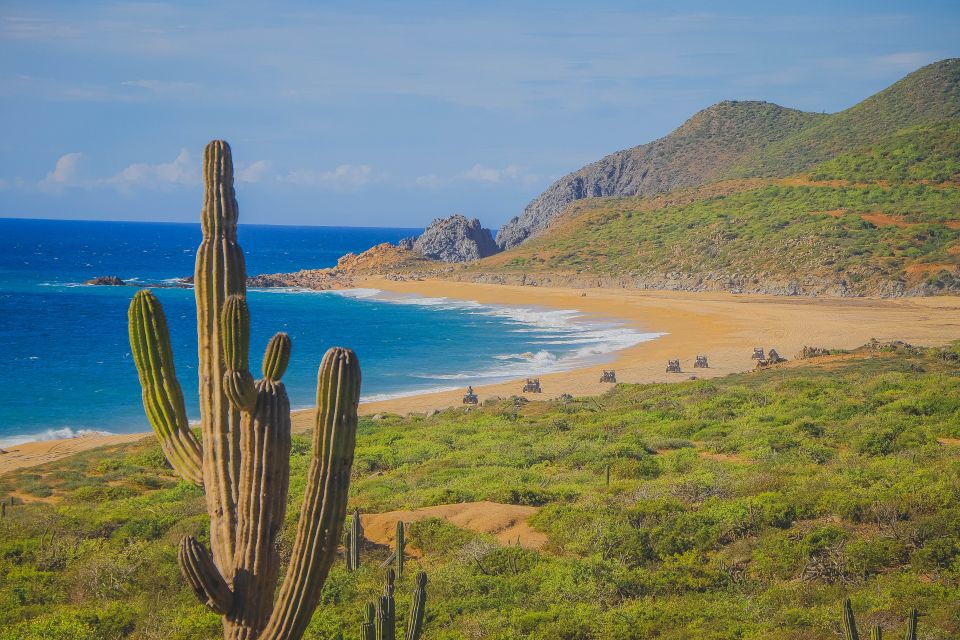 Cabo San Lucas: Beach & Desert ATV Tour With Tequila Tasting