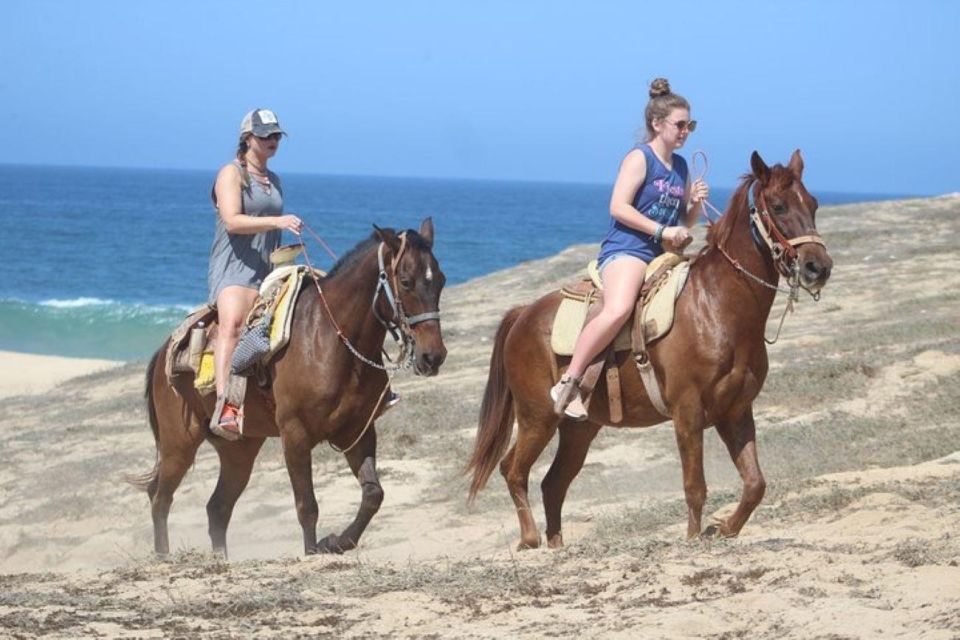 Cabo San Lucas: Desert ATV & Beach Horseback Combo