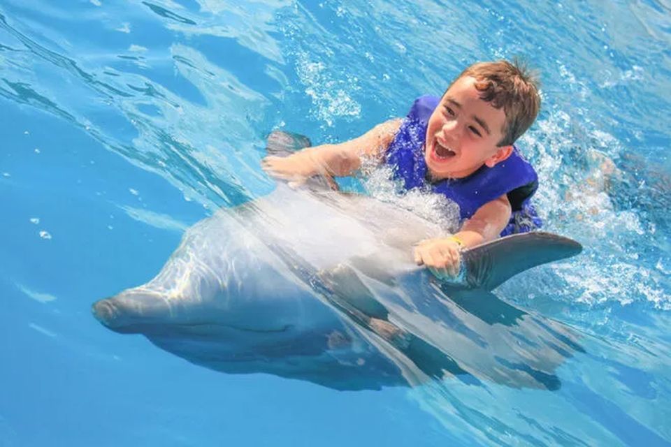 Cabo San Lucas: Dolphin Swim Class With Marine Specialist - Dolphin Interaction Experience