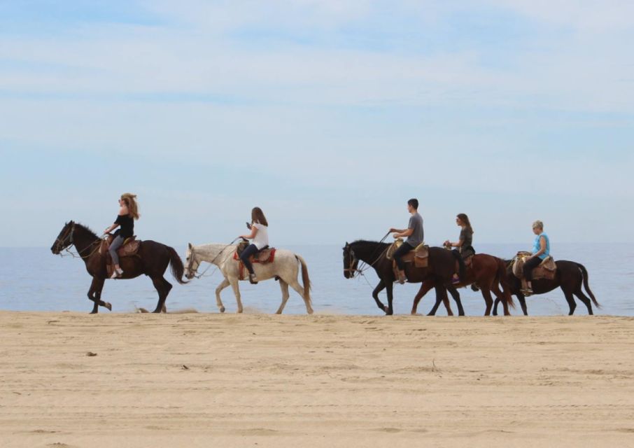 Cabo San Lucas: Horseback Riding Adventure