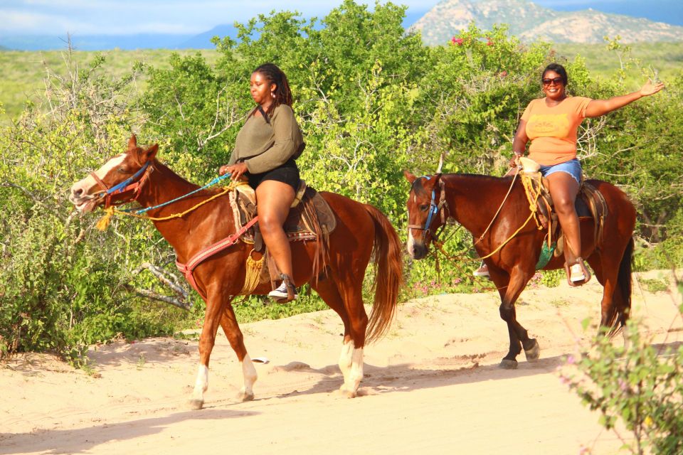 Cabo San Lucas: Migriño Horseback Riding