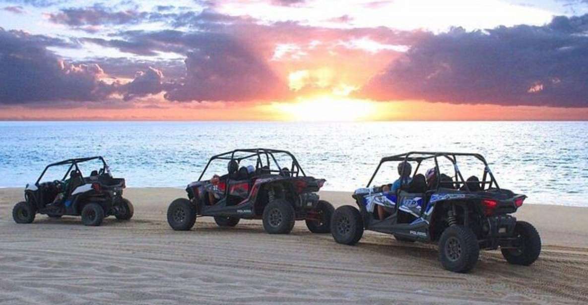 Cabo: Sunset Camel Ride and ATV Combo Adventure