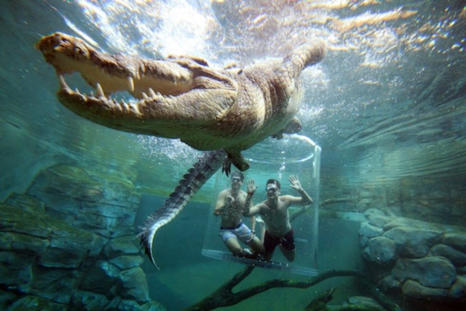 Cage Of Death Crocodile Swim and Entry to Crocosaurus Cove