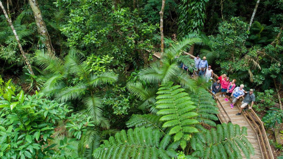 Cairns: 2-Day Great Barrier Reef & Daintree Rainforest Tour