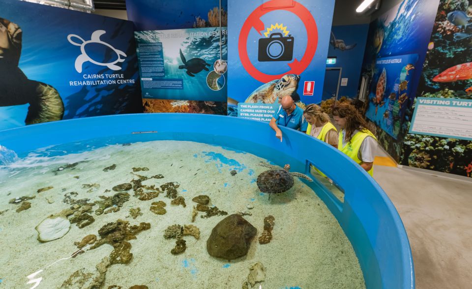 Cairns: Aquarium Entry Ticket and Turtle Rehabilitation Tour